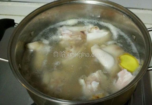 买回来的猪脚用煤气炉小火烧一下皮毛，刮洗干净，上锅烧开水，锅里放入适量的盐和烈酒，姜片煮开一下猪脚，去掉脏东西，那样炖起来才好吃