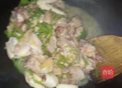 青椒炒鸡肉的做法图解4