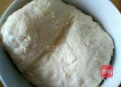 黄金肉夹馍的做法图解1