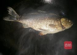 酱焖鲫鱼的做法图解4
