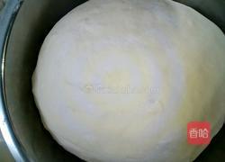 白菜猪肉馅的包子的做法图解8