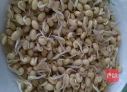 黄豆炒肉的做法图解1