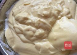 慕斯利安酸奶蛋糕!的做法图解12