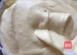 慕斯利安酸奶蛋糕!的做法图解13