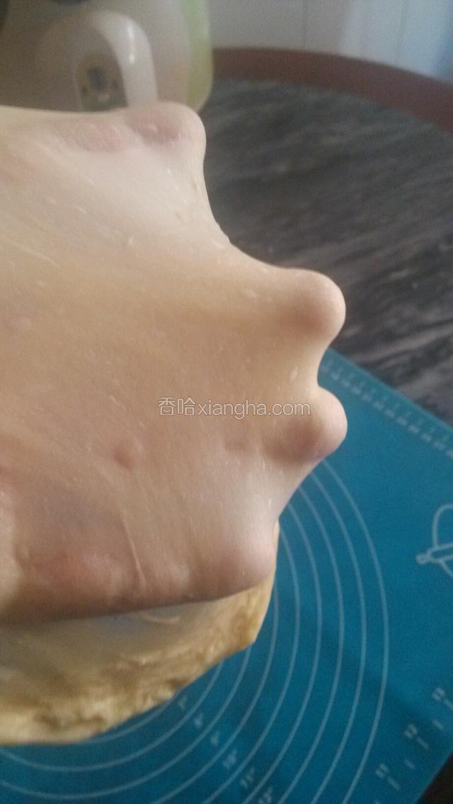 继续揉至面团和玉米油完全吸收 再以摔、搓、揉的方式揉至面团出膜