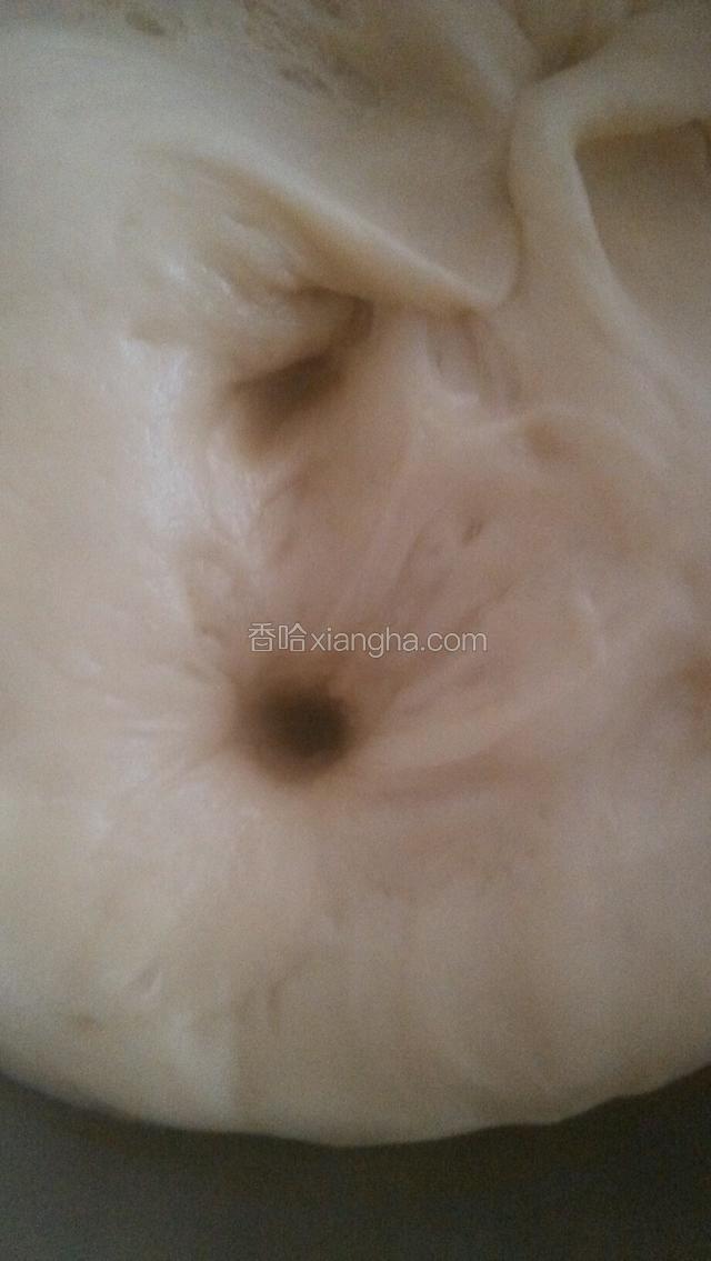 把面团发酵至两倍大  用手指擢一个孔  不回缩即发酵完成