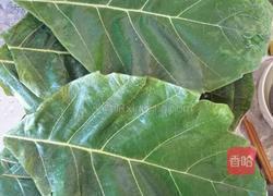 桲椤叶饼的做法图解8