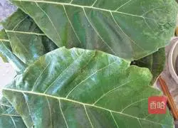 Quiet Leaf Cake Recipe Illustration 8