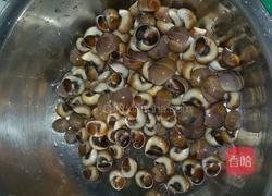 蒜蓉辣酱炒肚脐波螺儿的做法图解1