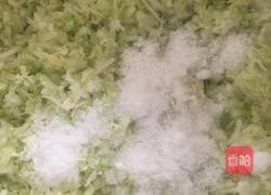 鲜肉白菜包的做法图解7