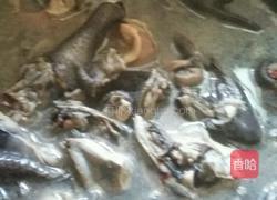 虫草乌鸡汤的做法图解1