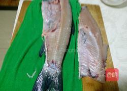 水煮鱼(微辣)的做法图解3