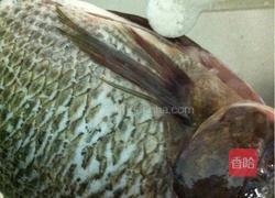 红烧罗非鱼的做法图解2