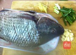 红烧罗非鱼的做法图解3