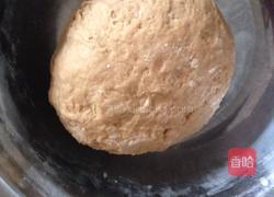 貓耳朵的做法圖解2