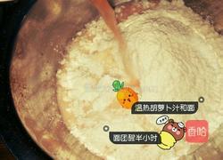 粉红宝宝酸汤五香水饺的做法图解1