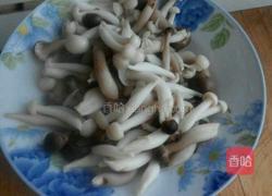 肉片烧双菇的做法图解3