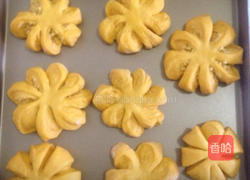 南瓜椰蓉包的做法图解9