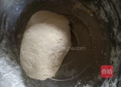 扬子饼的做法图解4