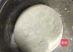 布里亚特包子的做法图解1