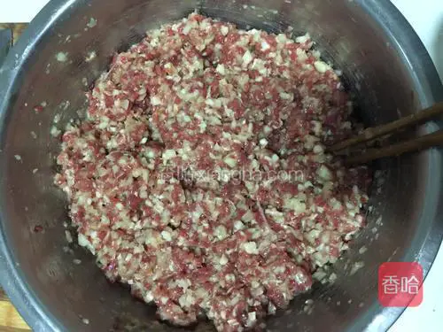 加入肉丁，圆葱，酱油，肉汤，盐，味精，十三香搅拌均匀！