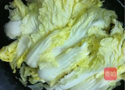 粉丝肉末娃娃菜的做法图解7