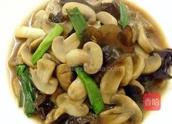 素炒口蘑的做法图解9