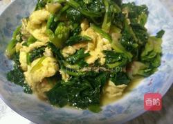 鸡蛋炒菠菜的做法图解8