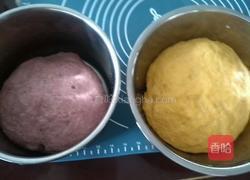 南瓜紫薯发糕的做法图解2