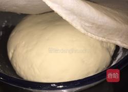 菜肉包子的做法图解3