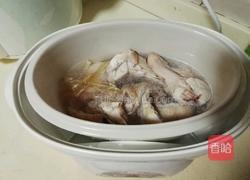 鱼胶炖海参的做法图解4