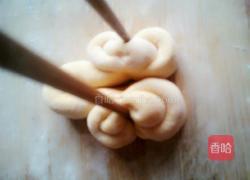南瓜蝴蝶馒头的做法图解8