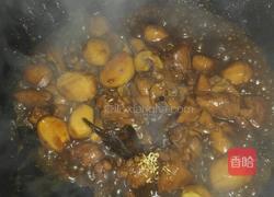 黑啤板栗烧鸡的做法图解7