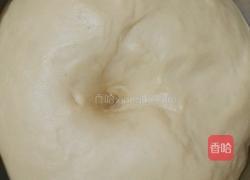 花式豆沙面包卷的做法图解7