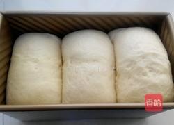 紫薯土司的做法图解11