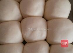 椰蓉蜂蜜小餐包的做法图解8