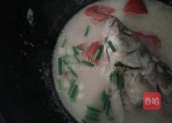 鱼头汤的做法图解6
