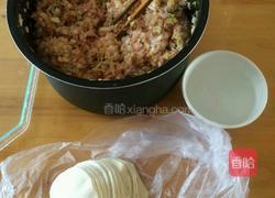 白菜猪肉饺的做法图解5