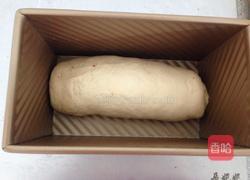 可可双色吐司的做法图解6