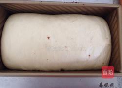 可可双色吐司的做法图解7