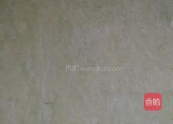 芝麻饼干的做法图解9