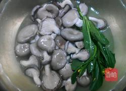 平菇鸡蛋汤的做法图解2