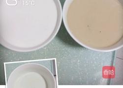 椰汁糕的做法图解2