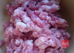 精肉萝卜馅饼的做法图解2