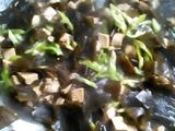 冻豆腐鸡肉炒海带