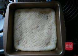 蘑菇鸡肉比萨的做法图解4