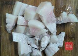 猪肉炖粉条（香辣味）的做法图解4