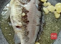 鲫鱼萝卜汤的做法图解6