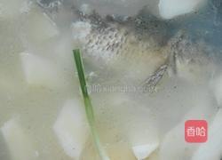 鲫鱼萝卜汤的做法图解12