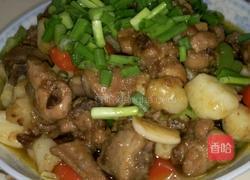 干煸雞塊的做法圖解6